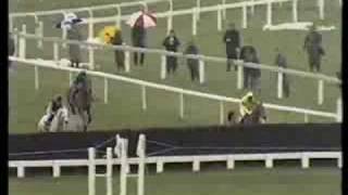 Desert Orchid 1989 Cheltenham Gold Cup [upl. by Dace]