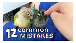 12 COMMON MISTAKES THAT BIRD OWNERS MAKE  Parrot Ownership [upl. by Norret]