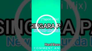 Singara PakoriHo Munda Dj SongJamuda Remix [upl. by Buckingham850]