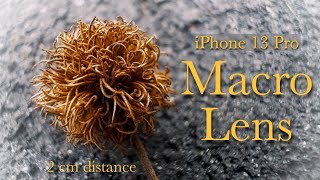 iPhone 13 Pro  Macro Lens Video Test [upl. by Ahsilac878]