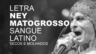 Ney Matogrosso Sangue Latino LETRA I LYRIC [upl. by Chuah]