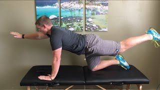 Lower Back Pain Exercises The Big 3 [upl. by Millar144]