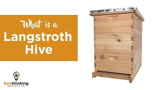 What Is a Langstroth Hive [upl. by Pelson]