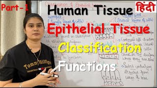 Tissue in Hindi  Epithelial Tissue  Functions  Classification  Part1 [upl. by Woodley]