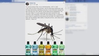 VERIFY Can Listerine repel mosquitoes [upl. by Girardo]