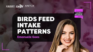 Birds feed intake patterns [upl. by Naoma]