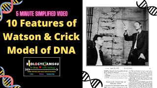 10 Features of Watson and Crick Model of DNA [upl. by Torey615]