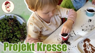 DIY Kresse anpflanzen🪴 Projekt Kresse  Gärtnern mit Kindern  Kresseanbau  Grüne Tipp Tagesmama [upl. by Elokkin190]