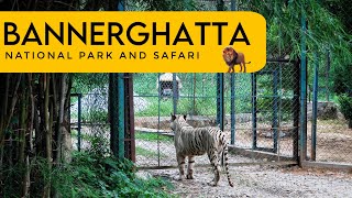 BANNERGHATTA NATIONAL PARK SAFARI  PLACES TO VISIT IN BANGALORE [upl. by Ordnaxela]