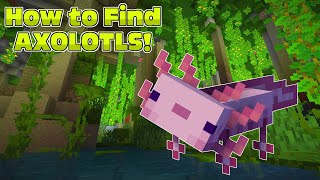 How to Find Axolotls MINECRAFT [upl. by Mclyman]