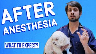 What to Expect After General Anesthesia [upl. by Britni]