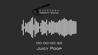 Juicy Poop  HQ Sound Effect [upl. by Jevon]