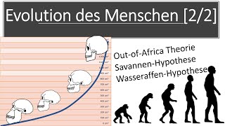 Evolution des Menschen 22  Hominisation Merkmale der Menschenarten Biologie Oberstufe Abitur [upl. by Madeline226]