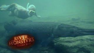 Swimming With Lethal Alligator Gars  ALLIGATOR GAR  River Monsters [upl. by Castillo580]