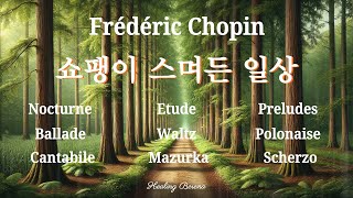 쇼팽이 스며든 일상 마음이 편안해지는 선율 quotThe Heart of Poland Frédéric Chopinquot [upl. by Beeck658]