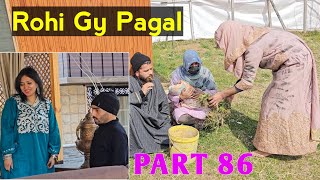 Rohi Gy Pagal  PART 86  Kashmiri Drama [upl. by Nyrek656]