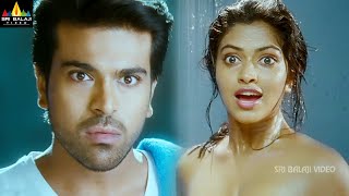 Naayak Movie Amala Paul Intro  Ram Charan  Latest Telugu Scenes SriBalajiMovies [upl. by Jac]