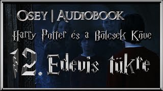 Harry Potter és a Bölcsek Köve hangoskönyv  12 fejezet [upl. by Raycher]