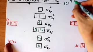 N2 and N2 Molecular Orbital Diagram Class 1112 and BSc [upl. by Nemrak]