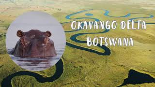 Okavango Delta  Botswana [upl. by Eislel638]