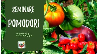 Seminare i pomodori ecco come e quando Tutorial completo [upl. by Nnyrb312]