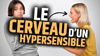 Comment Fonctionne le Cerveau d’un Hypersensible [upl. by Bernarr]