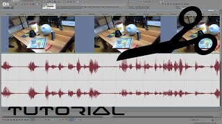 Ton vom Video trennen und mit Audacity bearbeiten  verbessern [upl. by Htir]