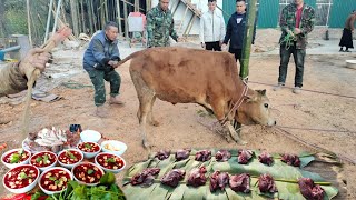 Ngả bò he ăn tết trên bản  Nhịp Sống Tây Bắc [upl. by Adirahs537]