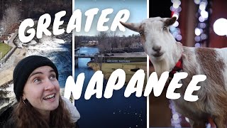 DAY TOUR IN NAPANEE ONTARIO  Avril Lavigne Wine Tasting Historic Sites Goats [upl. by Ledda193]