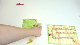 Master Carcassonne Setup and Gameplay  Ultimate Guide [upl. by Nnaytsirk311]