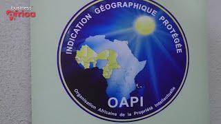 Colloque OAPI 2024 une opportunité pour lAfrique [upl. by Arie]