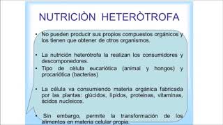 Nutrición Heterótrofa clasificación y explicación de los saprofitos [upl. by Petrine]