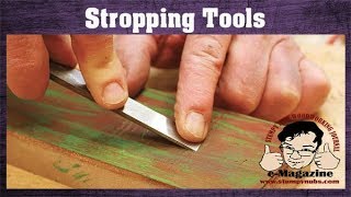 The stropping myth and how to sharpen tools with leather [upl. by Nitsid]