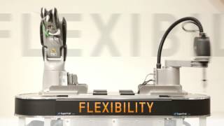 Next Generation Industrial Transport Technology – Flexibility [upl. by Phil]