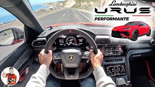 The Lamborghini Urus Performante is Silly Fast  Still Tame POV Drive Review [upl. by Padriac]