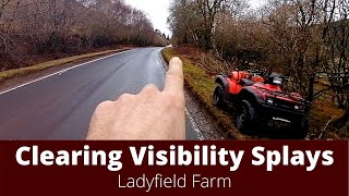 LADYFIELD FARM  I Can See Clearly Now [upl. by Durman]