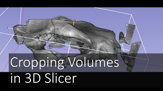 Cropping Volumes in 3D Slicer  Introduction to Digital Preparation Video 10 [upl. by Uke]