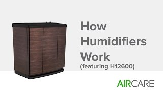 How Humidifiers Work featuring H12600 [upl. by Annail]