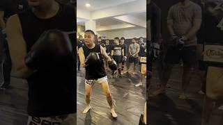 Best Muay Thai training in Delhi  Crosstrain Fight Club mma ufc muaythai bjj [upl. by Jezabella]