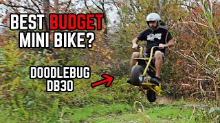 Building a Budget Doodlebug Mini Bike  Max Fun for Under 200 [upl. by Adelbert]