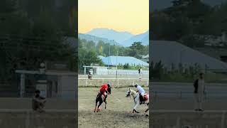 Polo Match  Polo player sheikh Farooq from Chitral arabianhorse unfrezzmyaccount chitral [upl. by Nod328]