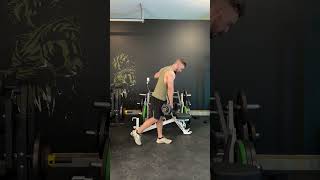 Dumbbell Single Stiff Leg Deadlift [upl. by Alakim938]