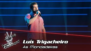 Luís Trigacheiro  quotAs Mondadeirasquot  Prova Cega  The Voice Portugal [upl. by Lewej]