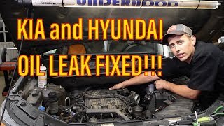 Kia and Hyundai 35 oil leak diagnosis and repair [upl. by Sarena532]