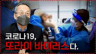 코로나 재유행 확진자 급증 진단키트 품절 검사비 휴가 지원 없음 교수님 어떡하죠 최재천의 아마존 [upl. by Atalante]