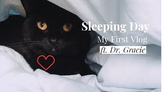 博士與她的愛貓們－黑咖灰日記ep1 Dr Gracie and Her Beloved Cats ep1 [upl. by Eceer]