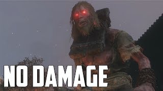 Sekiro Shadows Die Twice  All MiniBosses No Damage [upl. by Ydnarb]