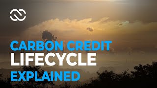 Carbon Credits Lifecycle [upl. by Isman]