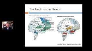 Narrative Exposure Therapy  Frank Neuner [upl. by Gereron]