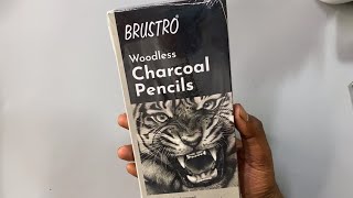 Worth Buying This Pencil 🤔 Woodless Charcoal Pencil [upl. by Anos]